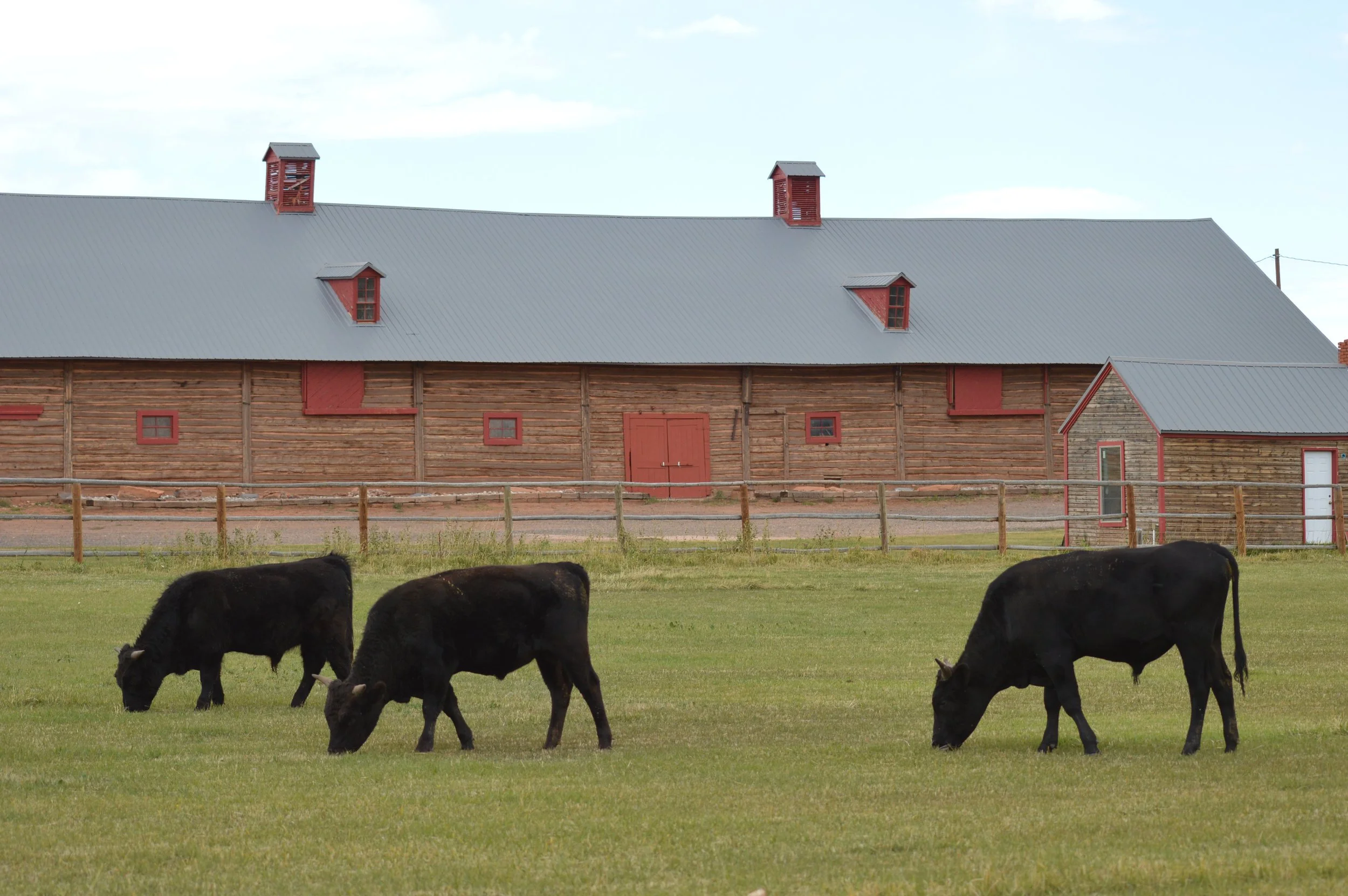 Oxford Wagyu | Grass-Fed American Wagyu Beef | Bed & Breakfast